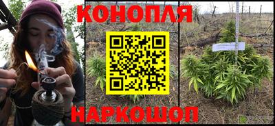 прущие крисы Гуково
