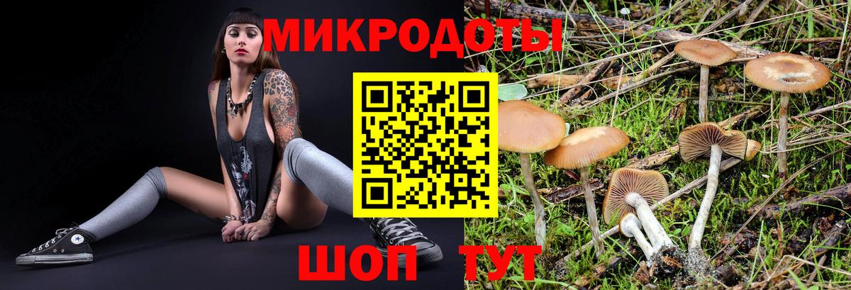 Псилоцибиновые грибы ЛСД  Вход с VPN  Галлюциногенные грибы MAGIC MUSHROOMS  Мегион 